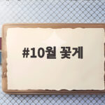 10월 꽃게 제철 맛을 제대로 즐기는 방법과 고르는 팁 10월 꽃게