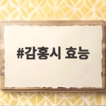 감홍시 효능 제대로 알고 먹으면 가을 건강이 달라져요 감홍시 효능