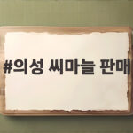 의성 씨마늘 판매 농사 초보도 10월에 심기 좋은 이유 의성 씨마늘 판매
