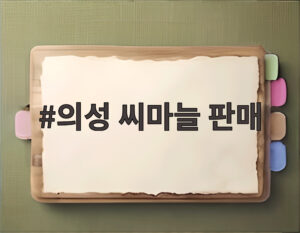 의성 씨마늘 판매