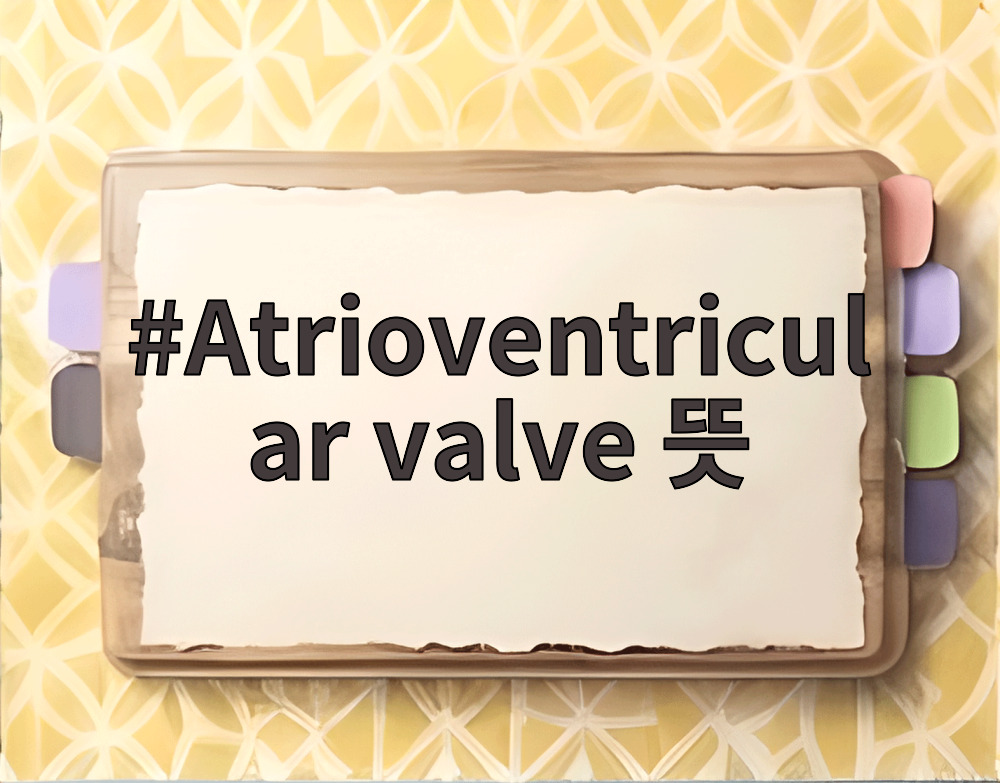 Atrioventricular valve 뜻