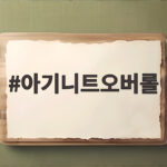 아기니트오버롤