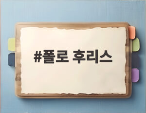 폴로 후리스