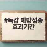 독감 예방접종 효과기간 얼마나 될까 궁금하다면 독감 예방접종 효과기간