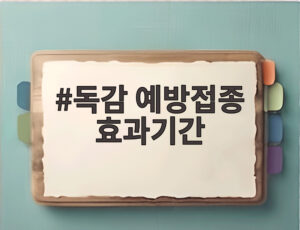 독감 예방접종 효과기간