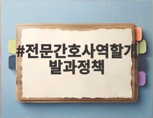 전문간호사역할개발과정책