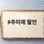추미애 발언