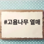 고욤나무 열매 작지만 달콤한 가을 간식의 모든 것 고욤나무 열매