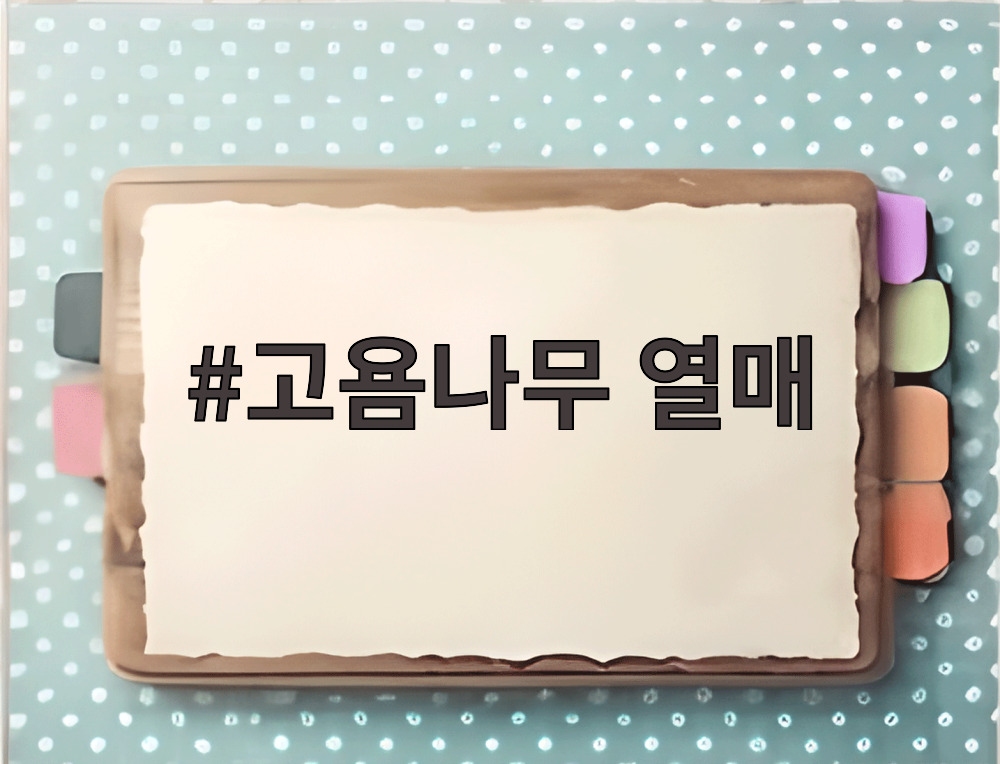 고욤나무 열매