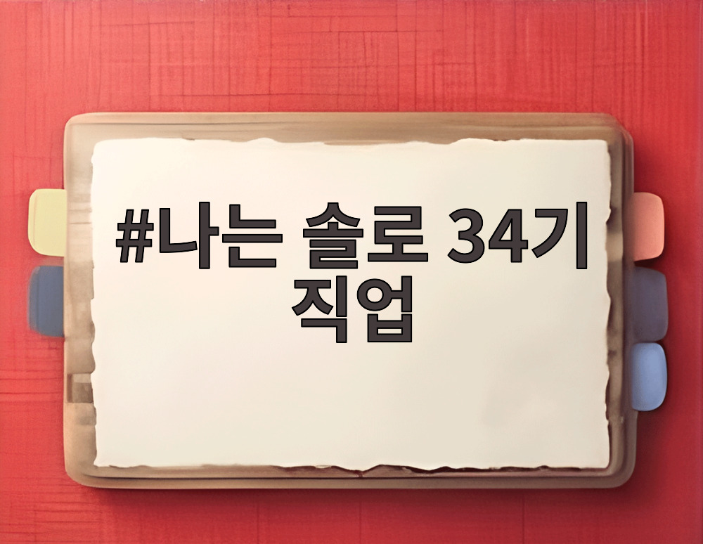 나는 솔로 34기 직업