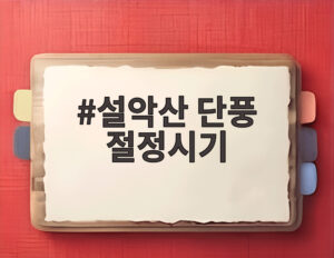 설악산 단풍 절정시기