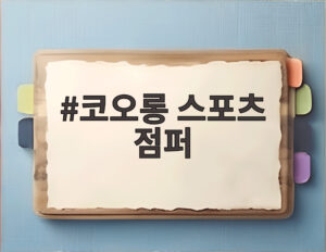 코오롱 스포츠 점퍼