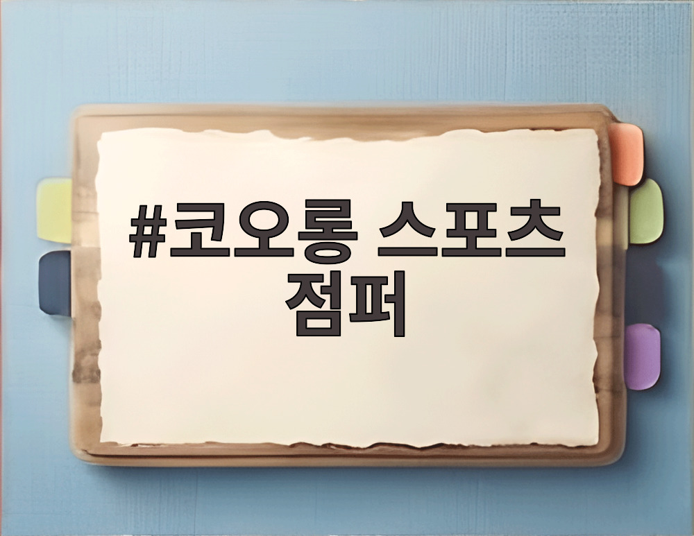 코오롱 스포츠 점퍼