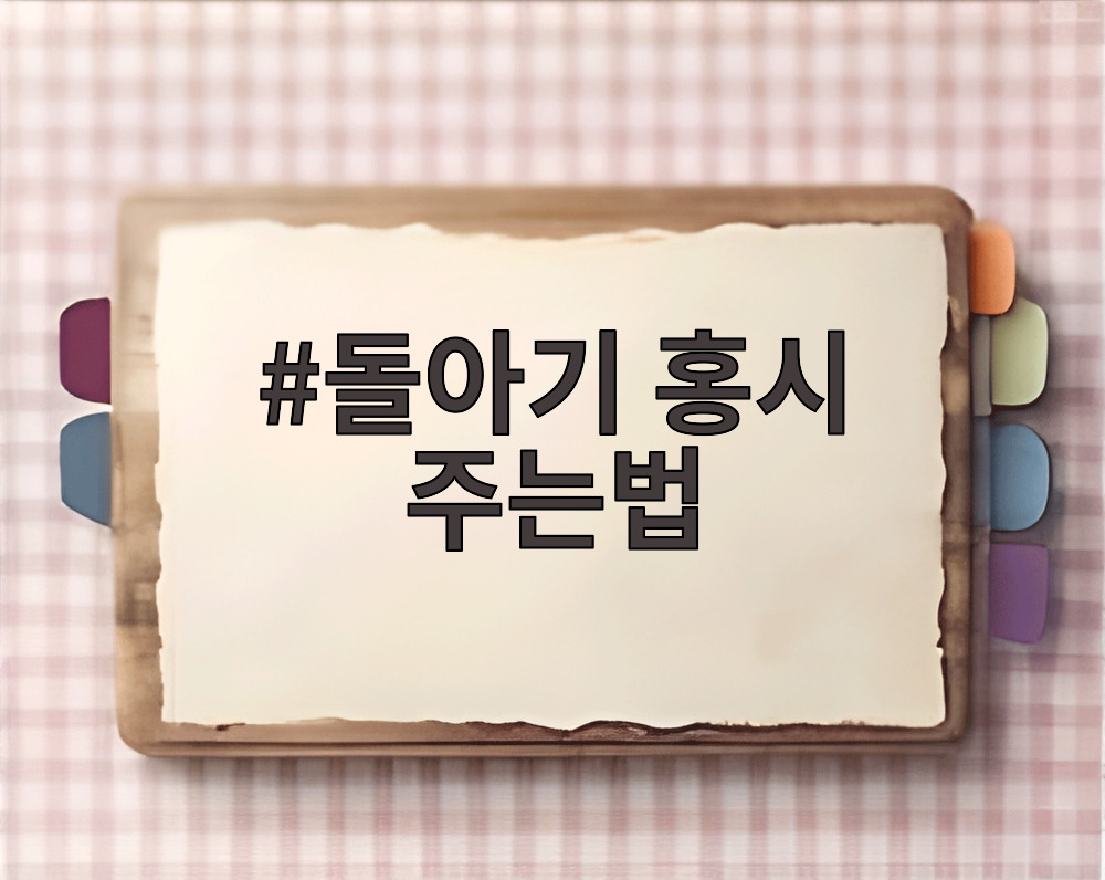 돌아기 홍시 주는법