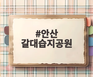 안산 갈대습지공원