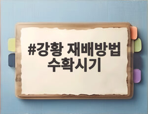 강황 재배방법 수확시기