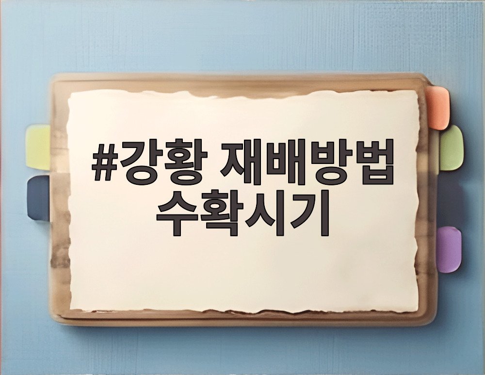 강황 재배방법 수확시기