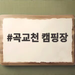곡교천 캠핑장