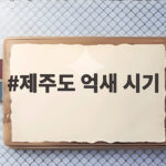 제주도 억새 시기 10월 언제가 좋을까 오름 명소 총정리 제주도 억새 시기