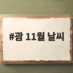 괌 11월 날씨 이렇게 준비하면 비 와도 걱정 없어요 괌 11월 날씨