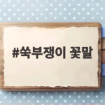 쑥부쟁이 꽃말 그리움과 기다림 가을 들판에서 만나는 보랏빛 이야기 쑥부쟁이 꽃말
