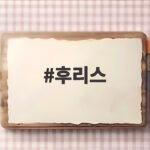 후리스 하나로 환절기부터 한겨울까지 따뜻하게 입는 비결 후리스