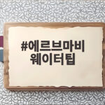 에르브마비 웨이터팁