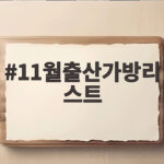 11월출산가방리스트 꼭 필요한 것만 담는 준비법 11월출산가방리스트
