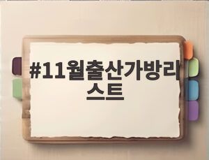 11월출산가방리스트