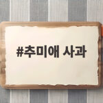 추미애 사과