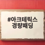 아크테릭스 경량패딩