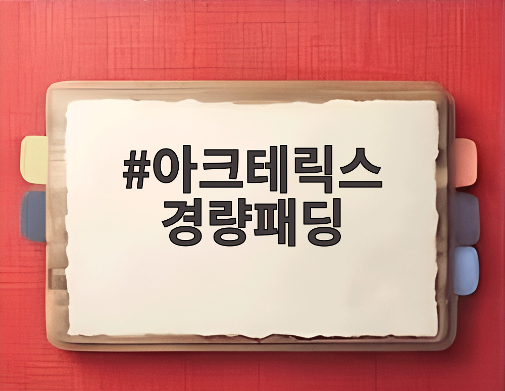 아크테릭스 경량패딩