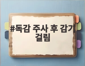 독감 주사 후 감기 걸림
