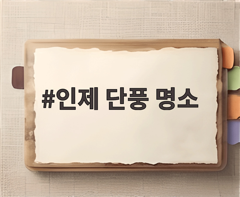 인제 단풍 명소