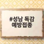 성남 독감 예방접종 무료 맞는 대상과 일정 꼭 확인하세요 성남 독감 예방접종