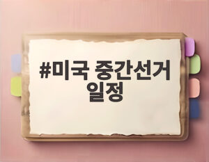 미국 중간선거 일정