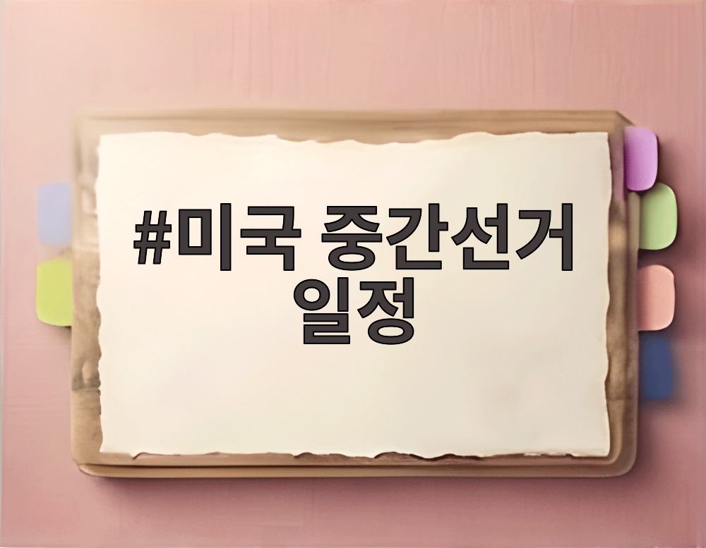미국 중간선거 일정