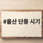 울산 단풍 시기 절정은 언제 가을 명소 어디까지 가볼까 울산 단풍 시기