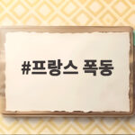 프랑스 폭동