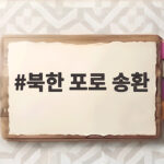 북한 포로 송환 공개 발표 이후 한국과 우크라이나 외교에 무슨 일이 북한 포로 송환
