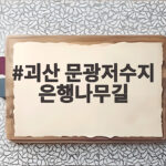 괴산 문광저수지 은행나무길 절정 시기와 주차 정보 총정리 괴산 문광저수지 은행나무길