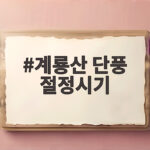 계룡산 단풍 절정시기 언제일까 올해 놓치지 말아야 할 순간 계룡산 단풍 절정시기