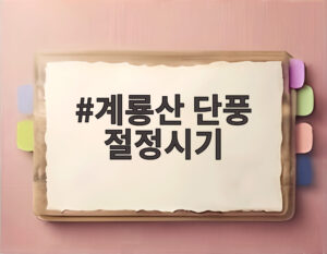 계룡산 단풍 절정시기