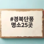 경북단풍 명소25곳