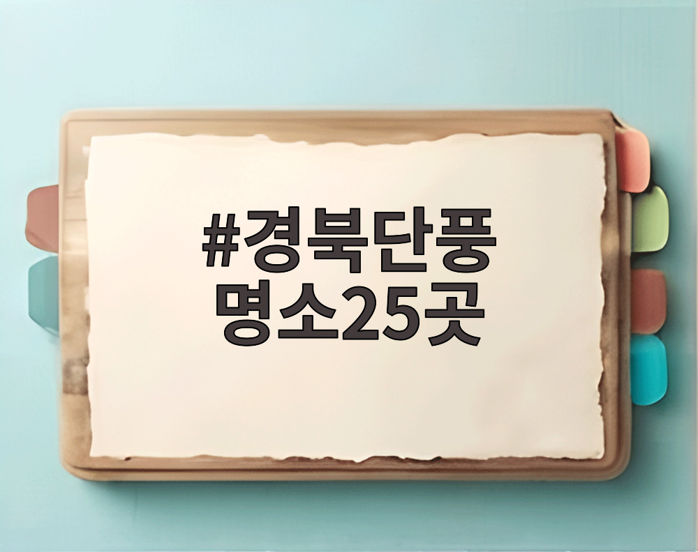 경북단풍 명소25곳
