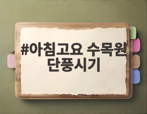 아침고요 수목원 단풍시기