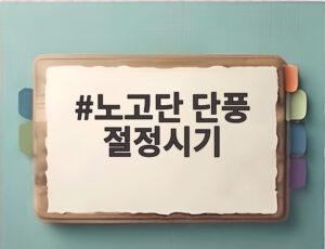 노고단 단풍 절정시기