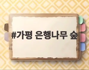가평 은행나무 숲