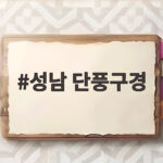 성남 단풍구경