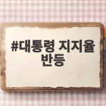 대통령 지지율 반등 3주 만에 민생 정책이 만든 변화 대통령 지지율 반등